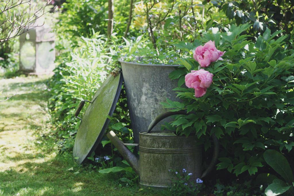 Le Bonheur A La Campagne Bed & Breakfast Lesmont Exterior foto